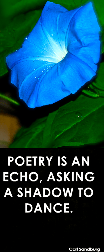 Screen Shot 2017-10-12 at 11.15.17 PM.png