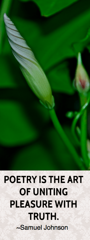 Screen Shot 2017-10-12 at 11.17.58 PM.png