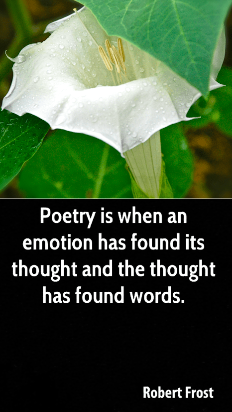 Screen Shot 2017-10-12 at 11.22.18 PM.png