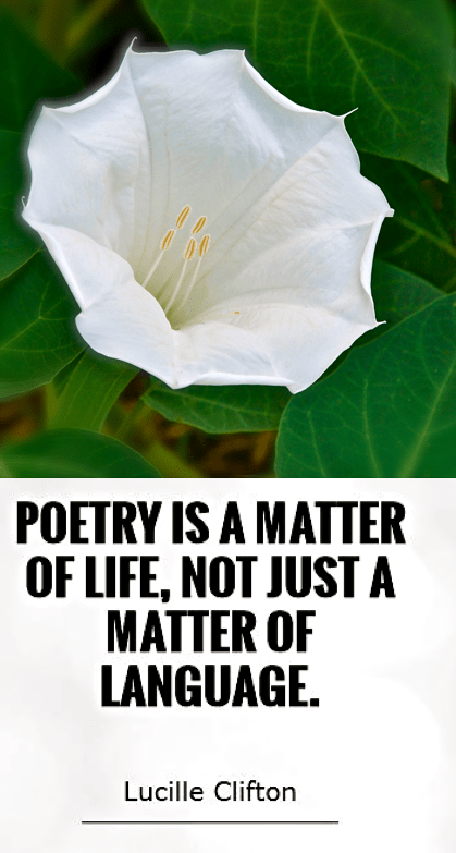 Screen Shot 2017-10-12 at 11.26.27 PM.png