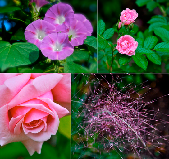 Screen Shot 2017-10-12 at 6.23.36 PM.png