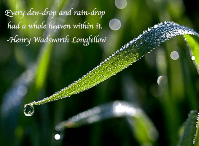 Screen Shot 2017-10-13 at 11.19.13 PM.png