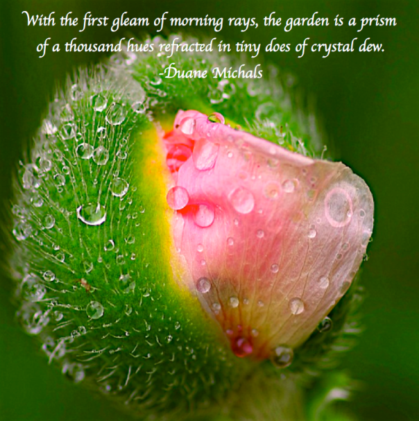 Screen Shot 2017-10-13 at 11.28.14 PM.png