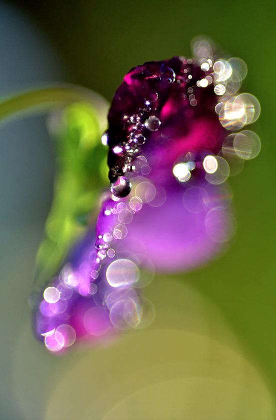 Screen Shot 2017-10-14 at 4.32.43 PM.png