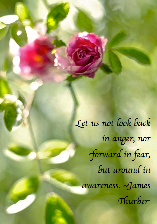 Screen Shot 2017-10-14 at 8.02.52 PM.png