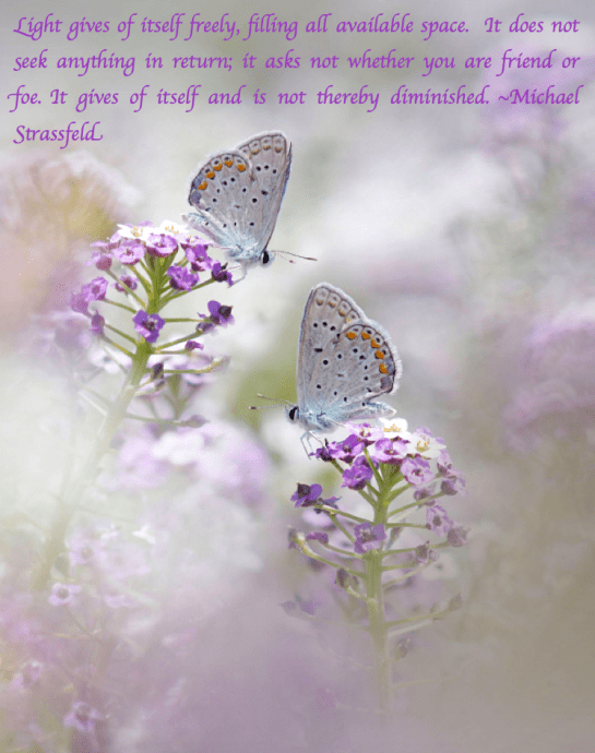 Screen Shot 2017-10-14 at 8.08.47 PM.png