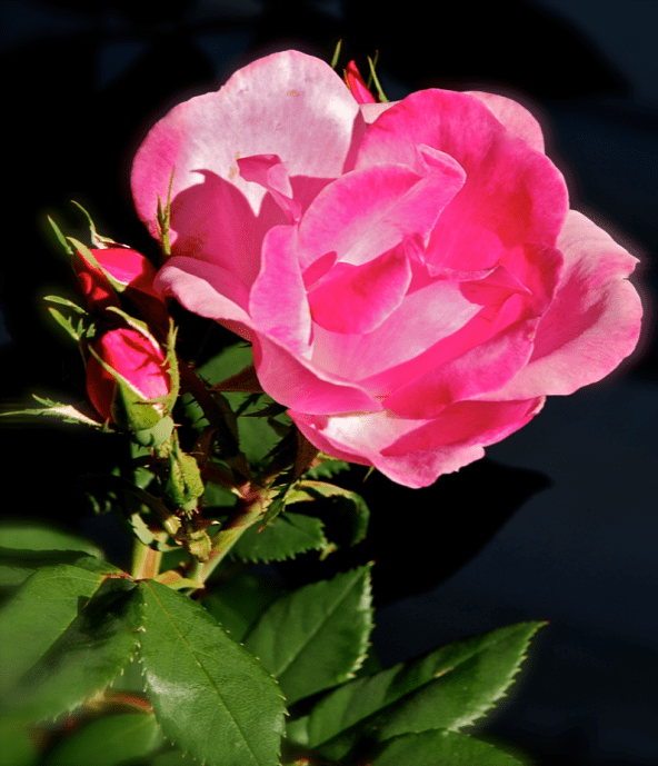 Screen Shot 2017-10-18 at 9.23.41 PM.png