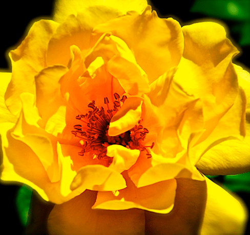 Screen Shot 2017-10-18 at 9.33.54 PM.png