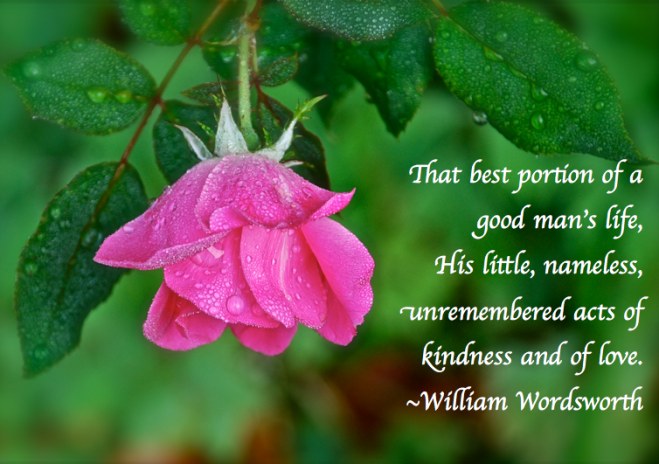 Screen Shot 2017-10-19 at 9.00.58 PM.png