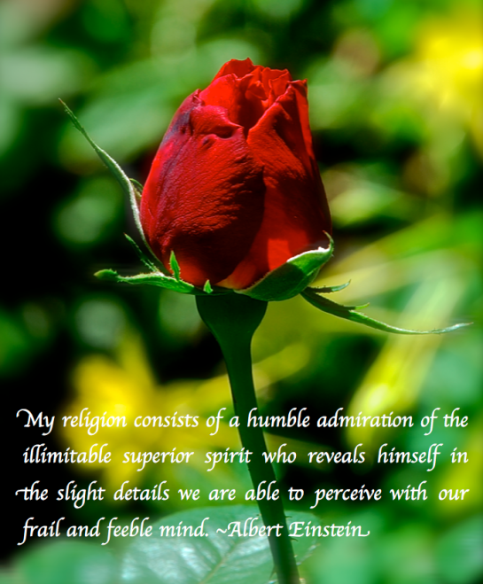 Screen Shot 2017-10-19 at 9.07.07 PM.png