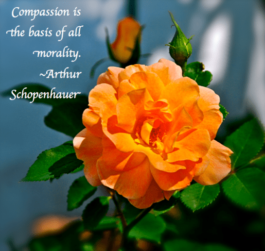 Screen Shot 2017-10-19 at 9.09.51 PM.png