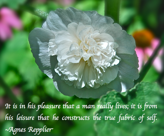 Screen Shot 2017-10-19 at 9.16.32 PM.png