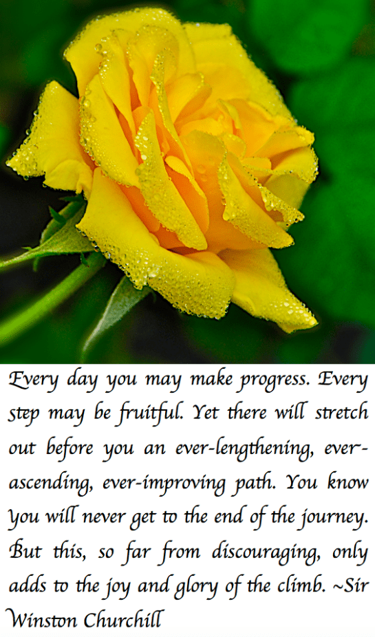 Screen Shot 2017-10-19 at 9.19.38 PM.png