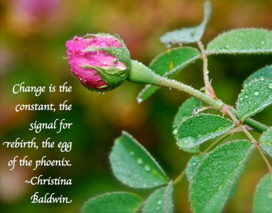 Screen Shot 2017-10-19 at 9.25.56 PM.png