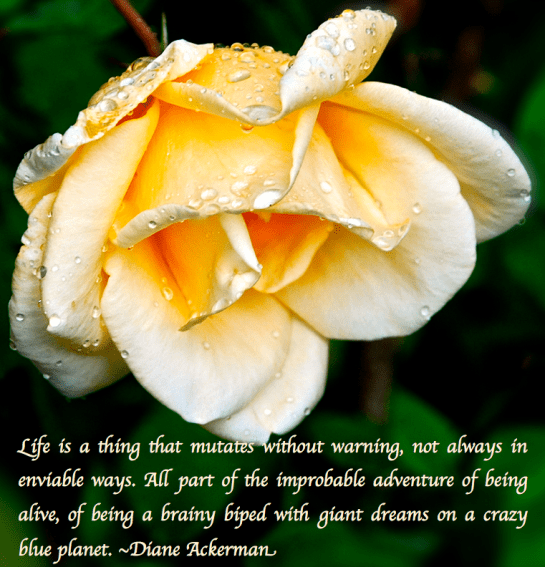 Screen Shot 2017-10-21 at 9.21.08 PM.png