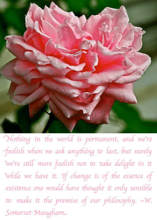 Screen Shot 2017-10-21 at 9.24.27 PM.png