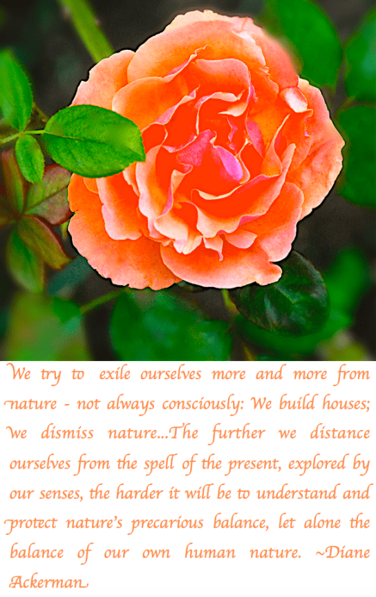 Screen Shot 2017-10-23 at 9.05.28 PM.png