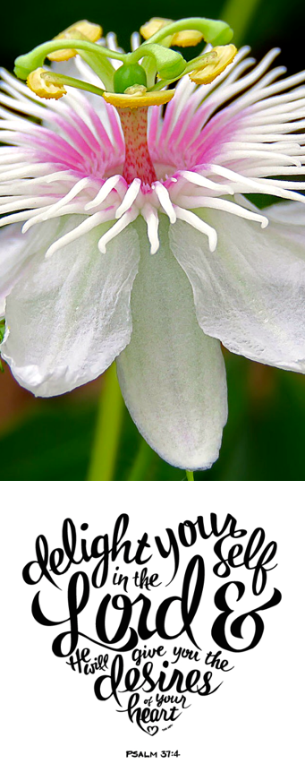 Screen Shot 2017-10-24 at 10.02.15 PM.png