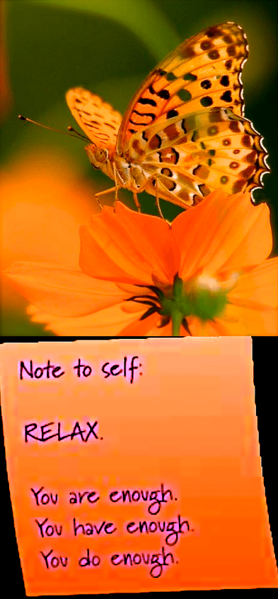 Screen Shot 2017-10-24 at 3.02.03 PM.png