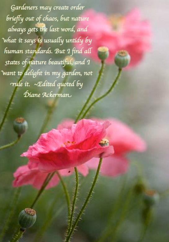 Screen Shot 2017-10-24 at 9.52.38 PM.png