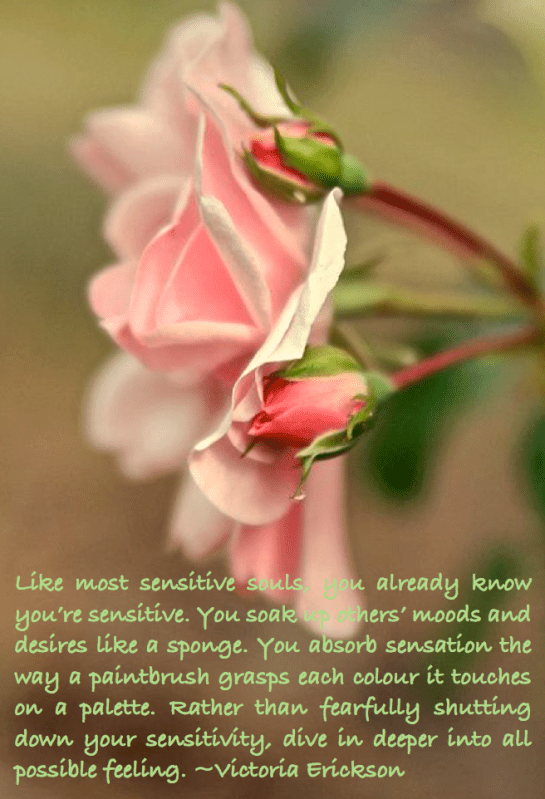 Screen Shot 2017-10-24 at 9.55.22 PM.png