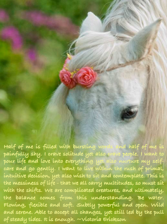 Screen Shot 2017-10-24 at 9.59.05 PM.png