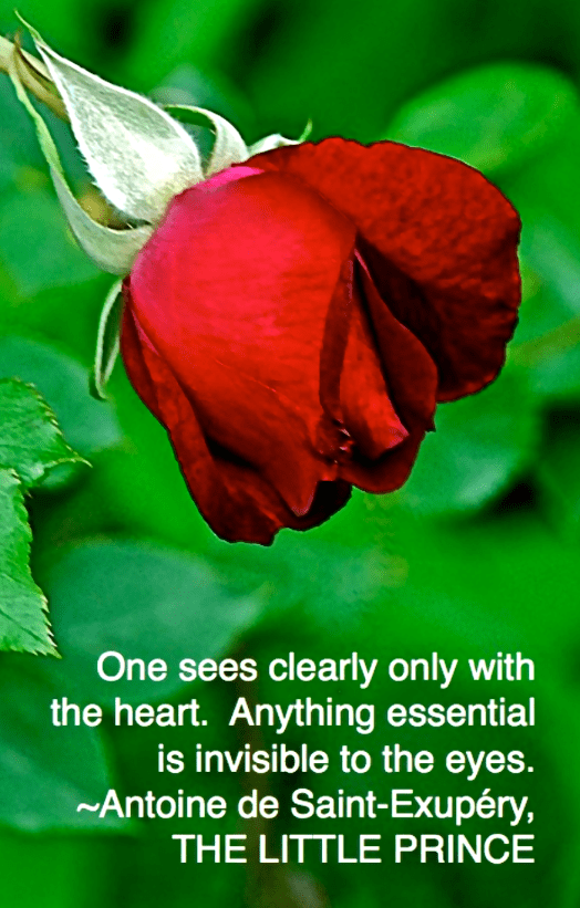 Screen Shot 2017-10-28 at 10.03.37 PM.png