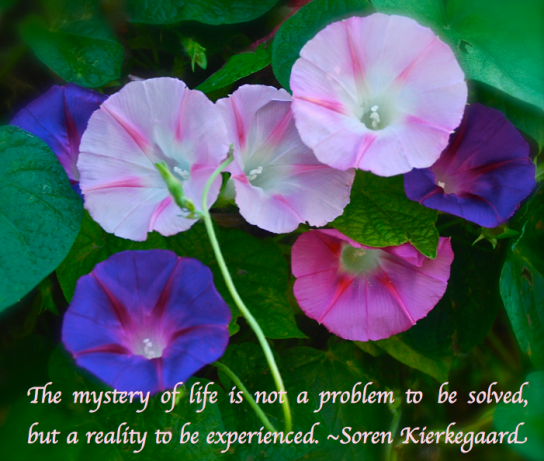 Screen Shot 2017-10-28 at 10.24.06 PM.png