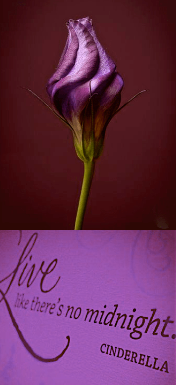 Screen Shot 2017-10-28 at 10.32.12 PM.png