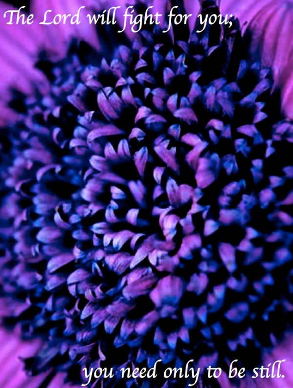 Screen Shot 2017-10-28 at 10.39.56 PM.png