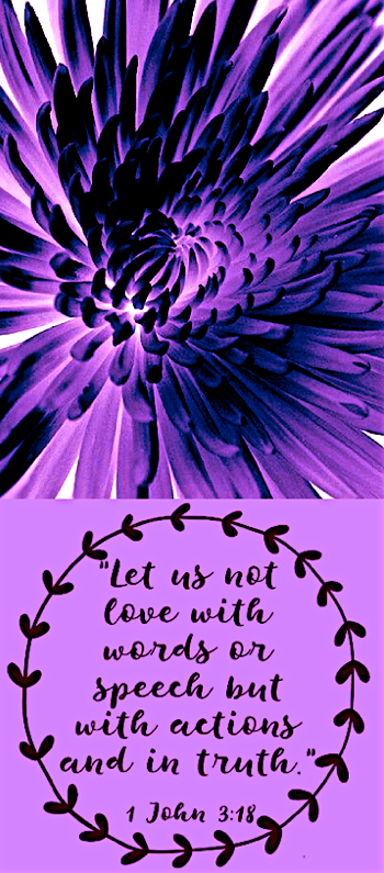 Screen Shot 2017-10-28 at 10.45.25 PM.png