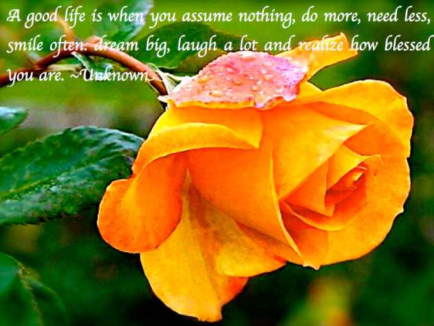 Screen Shot 2017-10-28 at 10.51.03 PM.png