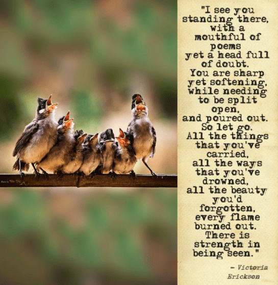 Screen Shot 2017-10-30 at 10.13.51 PM.png