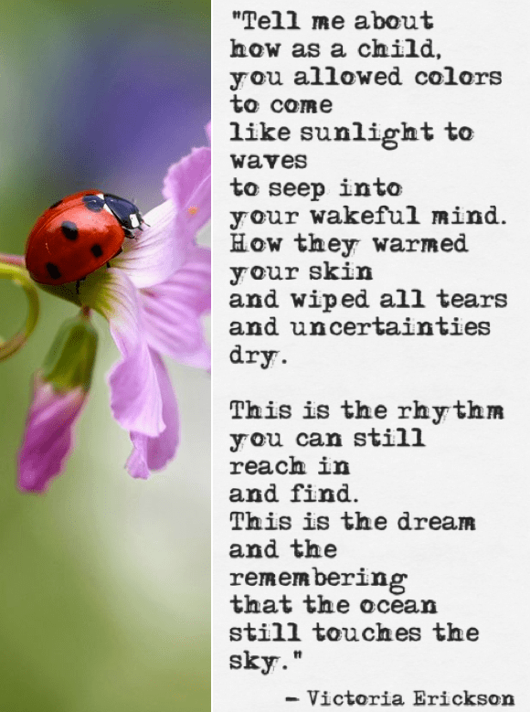 Screen Shot 2017-10-30 at 10.19.10 PM.png