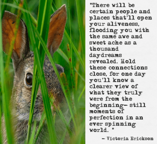 Screen Shot 2017-10-30 at 10.27.04 PM.png