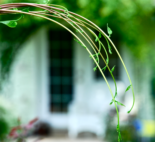 Screen Shot 2017-11-01 at 8.27.27 PM.png