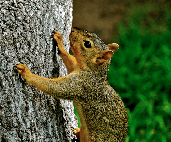 Screen Shot 2017-11-01 at 8.32.41 PM.png