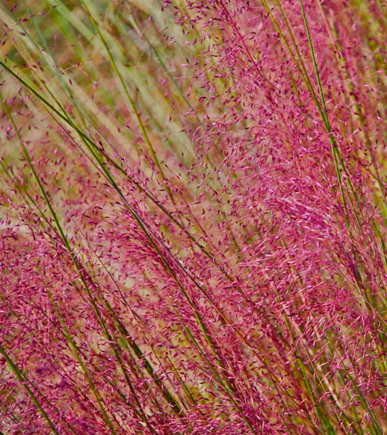 Screen Shot 2017-11-01 at 8.35.31 PM.png