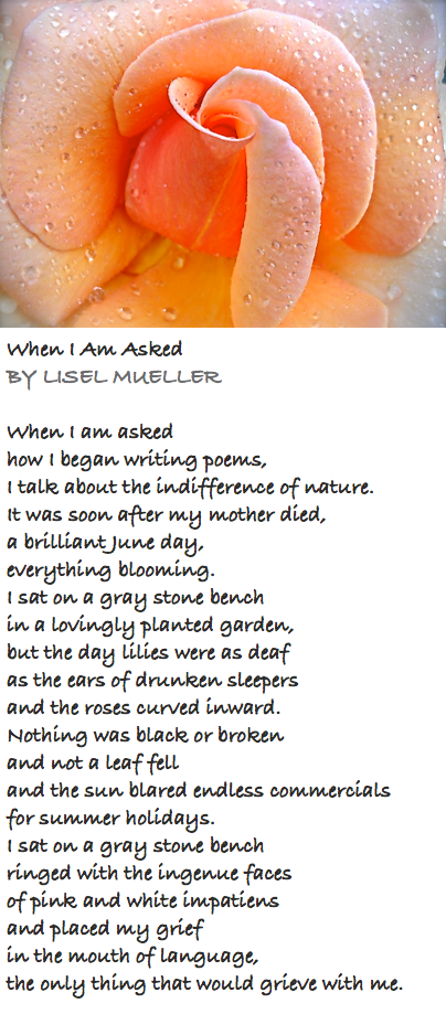 Screen Shot 2017-11-01 at 8.55.09 PM.png