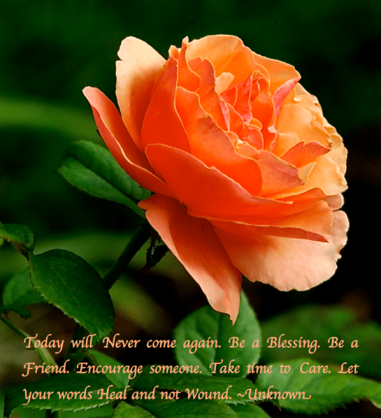 Screen Shot 2017-11-03 at 10.09.45 PM.png