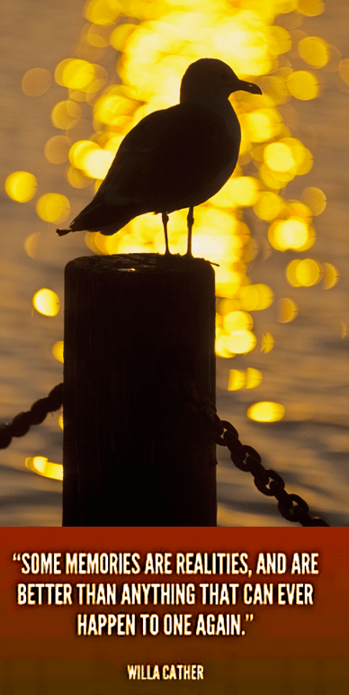 Screen Shot 2017-11-03 at 11.25.18 AM.png