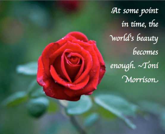 Screen Shot 2017-11-03 at 9.46.35 PM.png