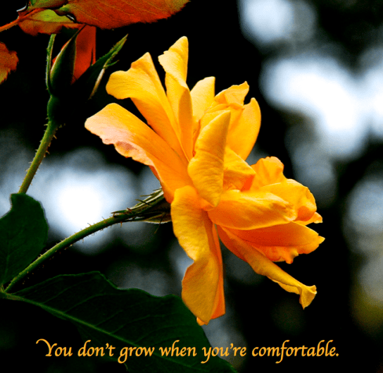 Screen Shot 2017-11-03 at 9.50.51 PM.png