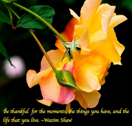 Screen Shot 2017-11-03 at 9.56.32 PM.png