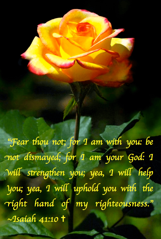 Screen Shot 2017-11-04 at 9.28.55 PM.png