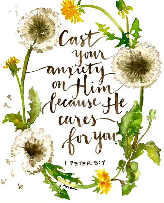 Screen Shot 2017-11-04 at 9.31.55 PM.png