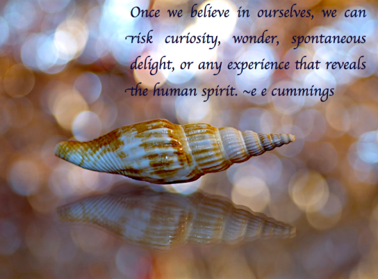 Screen Shot 2017-11-06 at 6.08.12 PM.png