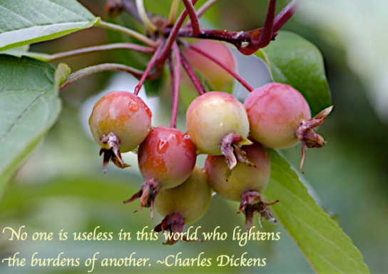 Screen Shot 2017-11-06 at 6.14.27 PM.png