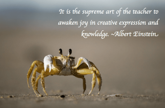 Screen Shot 2017-11-06 at 6.16.48 PM.png