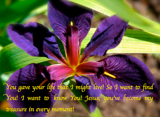 Screen Shot 2017-11-07 at 9.41.32 PM.png